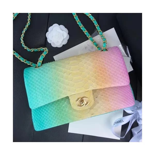 Chanel Women Leather Shoulder Bag,25CM - 샤넬 여성용 레더… - 1