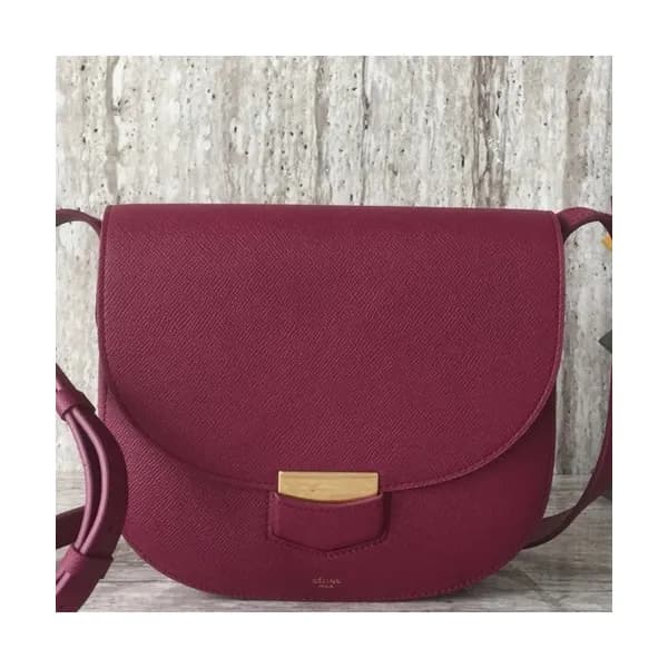 Celine Leather Trotteur Large Shoulder Bag,23CM - … - 1