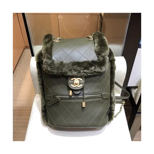 Chanel 2019 Leather & Fur Women Back Pack ,26CM - … - 1