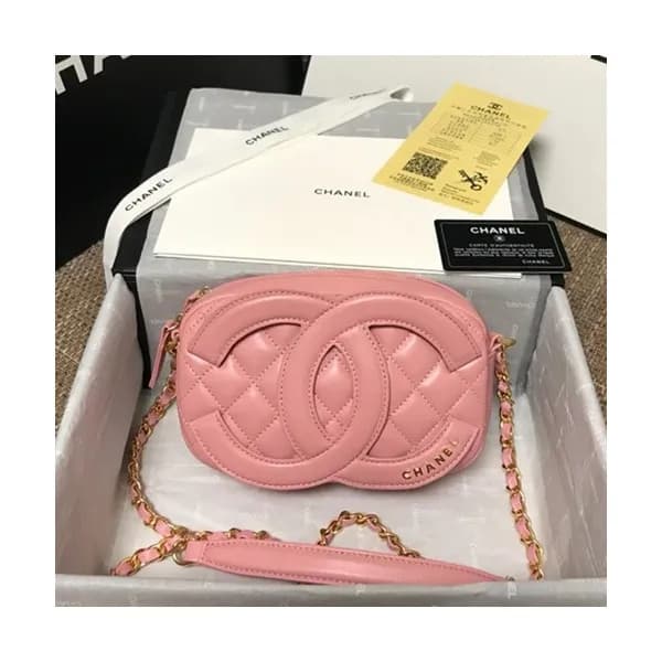 Chanel 2020 Camera Chain Shoulder Cross Bag,20CM -… - 1