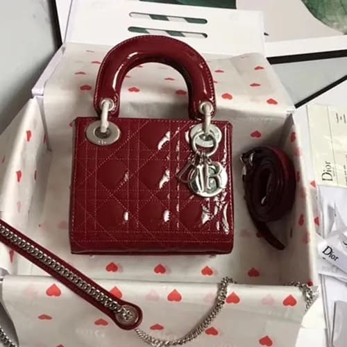 Dior 2019 Lady Dior Tote Shoulder Bag,17CM - 디올 20… - 1