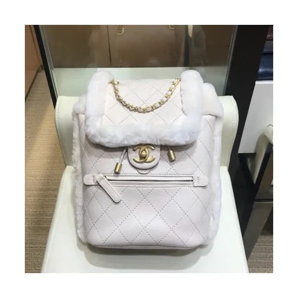 Chanel 2019 Leather & Fur Women Back Pack ,26CM - … - 1