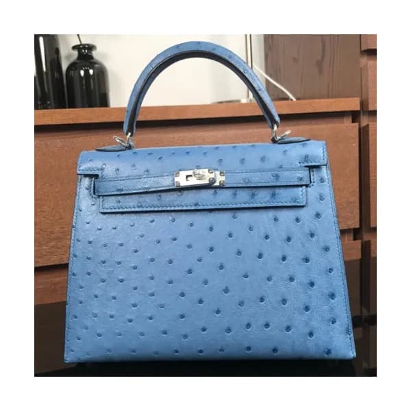 Hermes Kelly Ostrich Leather Tote Shoulder Bag ,25… - 1