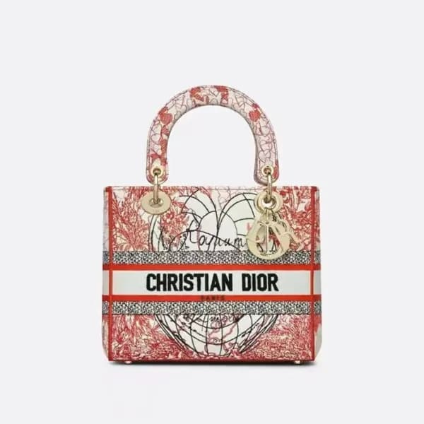 디올 여성 레드 레이디 백 - Dior Womens Red Lady Bag - dib733… - 1