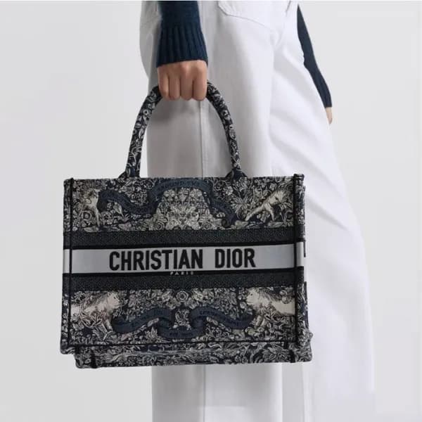 디올 여성 어라운드 더 월드 북토트 - Dior Womens Around The World… - 1
