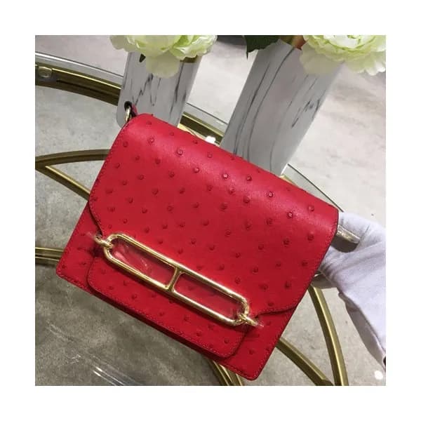 Hermes Roulis Ostrich Leather Shoulder Bag,19cm - … - 1