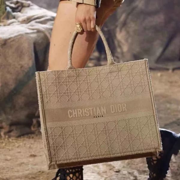 디올 여성 핑크 북토트 - Dior Womens Pink Book Tote - dib668… - 1