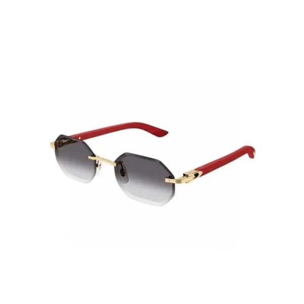 까르띠에 남성 프리미엄 메탈 프레임 선글라스 - Cartier Mens Premium Me… - 1
