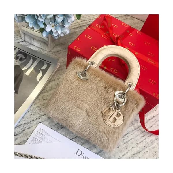 Dior 2019 Mini Lady Tote Shoulder Bag,17CM - 디올 20… - 1