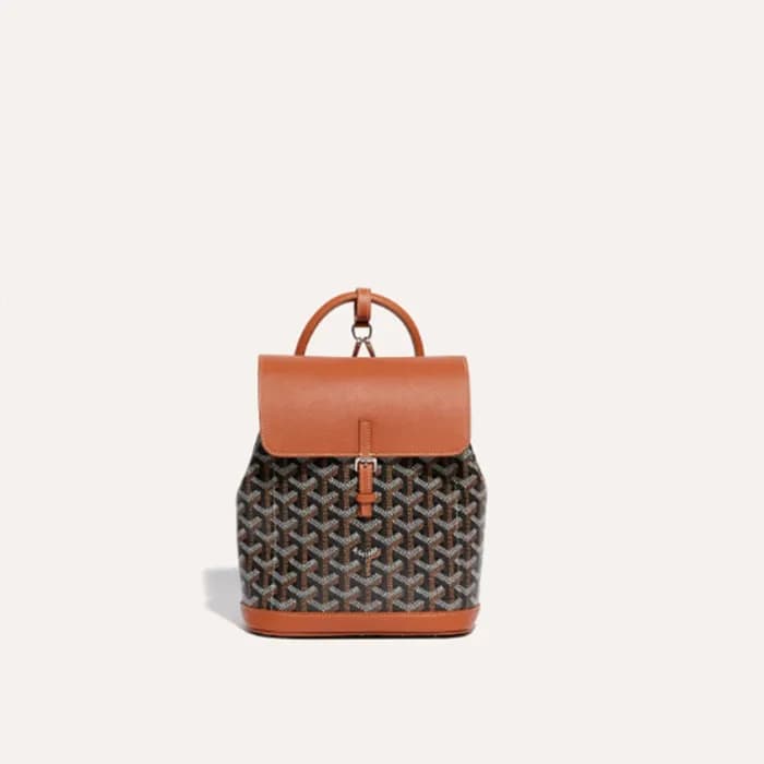 고야드 여성 블랙 탄 알팡 미니 백팩 - Goyard Womens Alpin Mini Ba… - 1