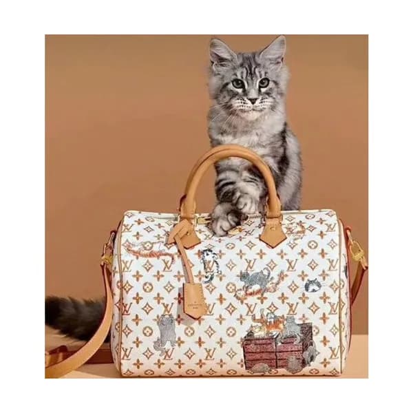 Louis Vuitton Speedy Tote Shoulder Cross Bag,30cm … - 1