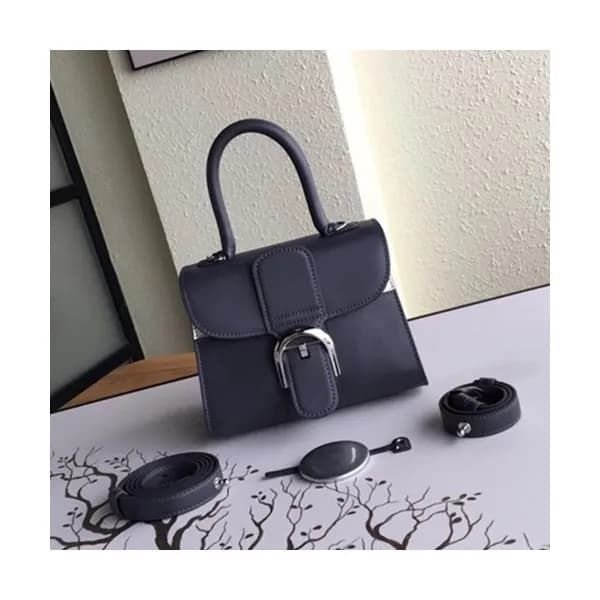 Delvaux 2019 Brillant Frence Box Leather Tote Shou… - 1