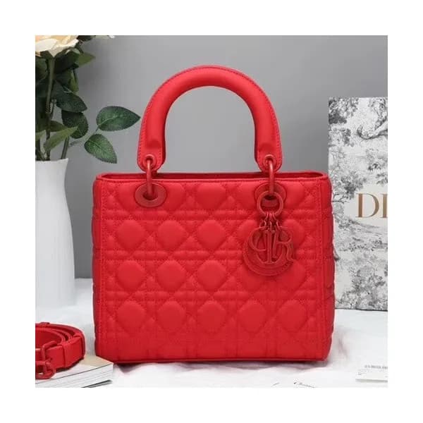 Dior 2019 Ultra-Matte Lady Tote Shoulder Bag,24CM … - 1