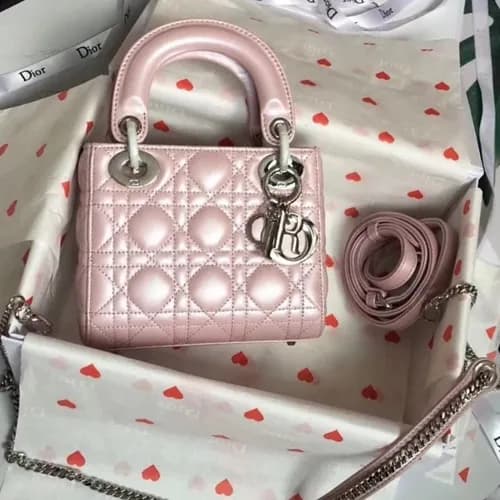 Dior 2019 Lady Dior Tote Shoulder Bag,17CM - 디올 20… - 1