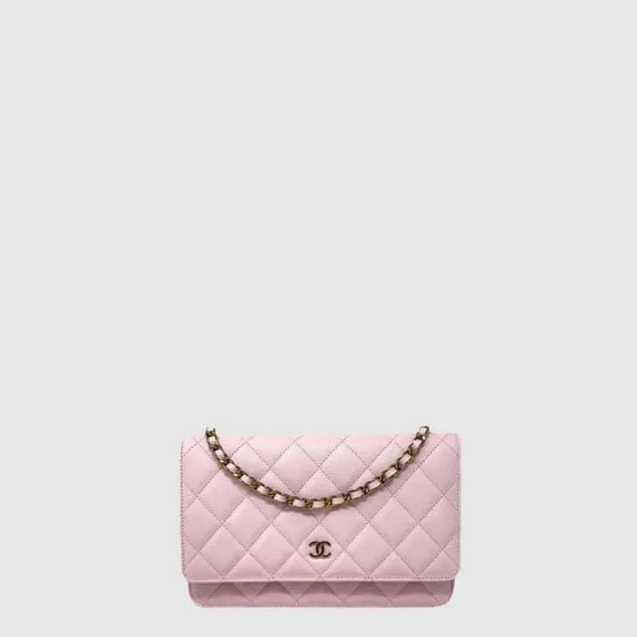 샤넬 여성 Woc - Chanel Womens Woc - chb17277x - 1