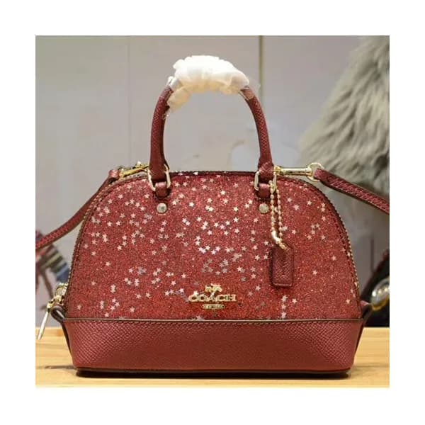 Coach Leather Mini Tote Shoulder Bag,17cm - 코치 레더 … - 1