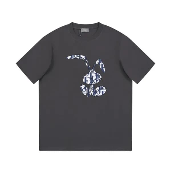 디올 남성 그레이 크루넥 반팔티 - Dior Mens Gray Tshirts - di262… - 1