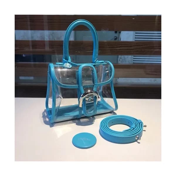 Delvaux 2019 Brillant X-ray PVC Tote Shoulder Bag,… - 1