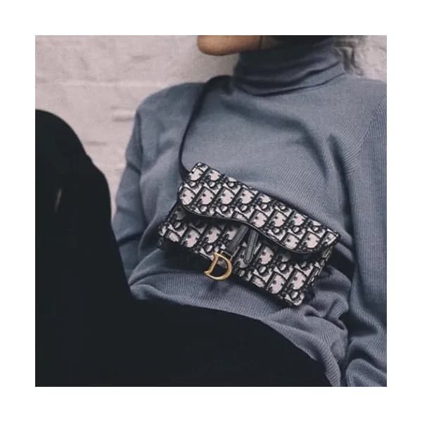 Dior 2019 Oblique Saddle Belt Bag ,18.5CM - 디올 201… - 1