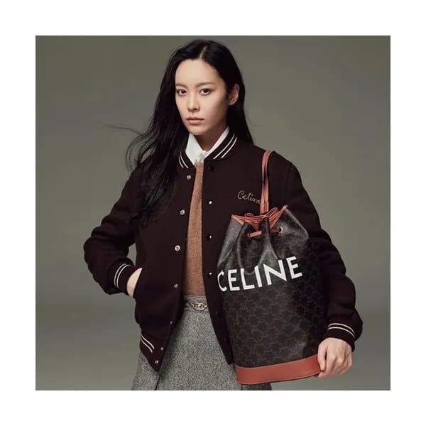 Celine 2019 Triomphe Canvas Bucket Back Pack / Sho… - 1