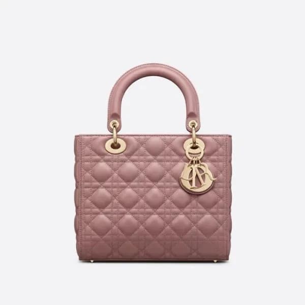 디올 여성 핑크 레이디 백 - Dior Womens Pink Lady Bag - dib40… - 1