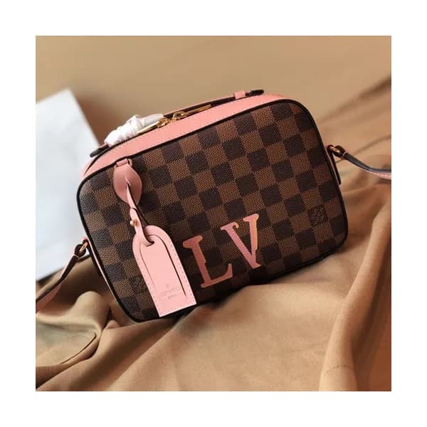 Louis Vuitton 2019 Saintonge Camera Shoulder Bag,2… - 1