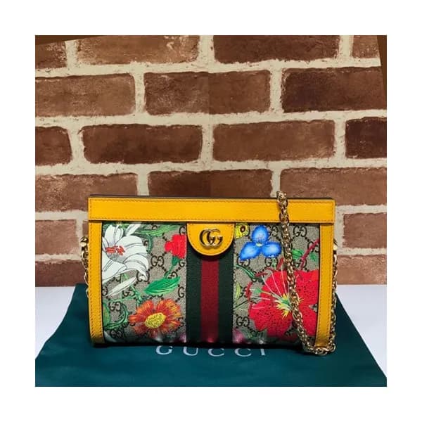Gucci 2019 Ophidia Women Chain Shoulder Bag ,26CM … - 1
