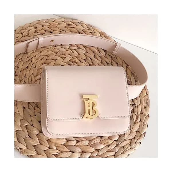 Burberry 2019 Ladies TB Leather Hip Sack , 17cm - … - 1