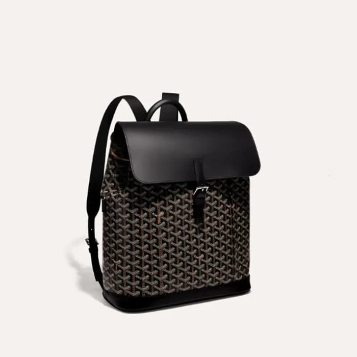 고야드 남/녀 블랙 알팡 백팩 MM - Goyard Unisex Black Alpin Ba… - 1