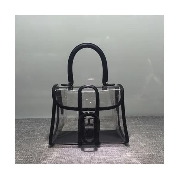 Delvaux 2019 Brillant X-ray PVC Tote Shoulder Bag,… - 1