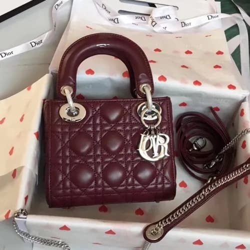 Dior 2019 Lady Dior Tote Shoulder Bag,17CM - 디올 20… - 1