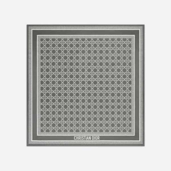디올 여성 까나쥬 스카프 - Dior Womens D-Cannage Scarf - acc2… - 1