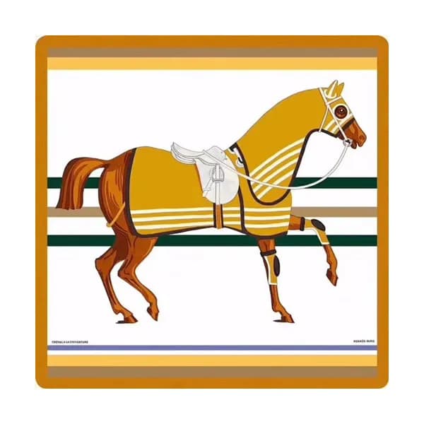 Hermes 2020 Autumn / Winter Velvet Blanket - 에르메스 … - 1