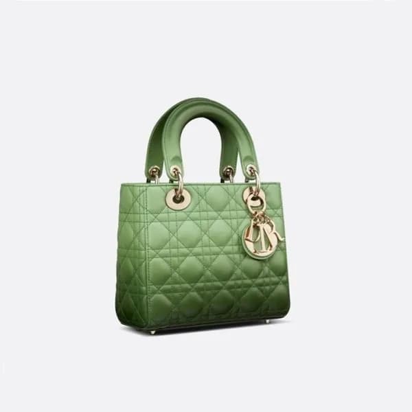 디올 여성 그린 레이디백 - Womens Green Lady Bag - dio01842x - 1
