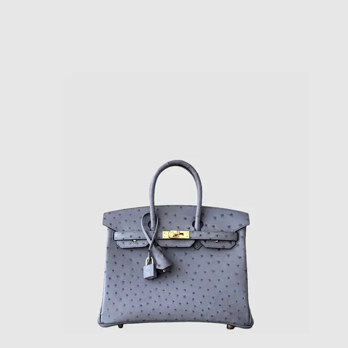 에르메스 여성 25 버킨백 - Hermes Womens Birkin Bag - heb114… - 1