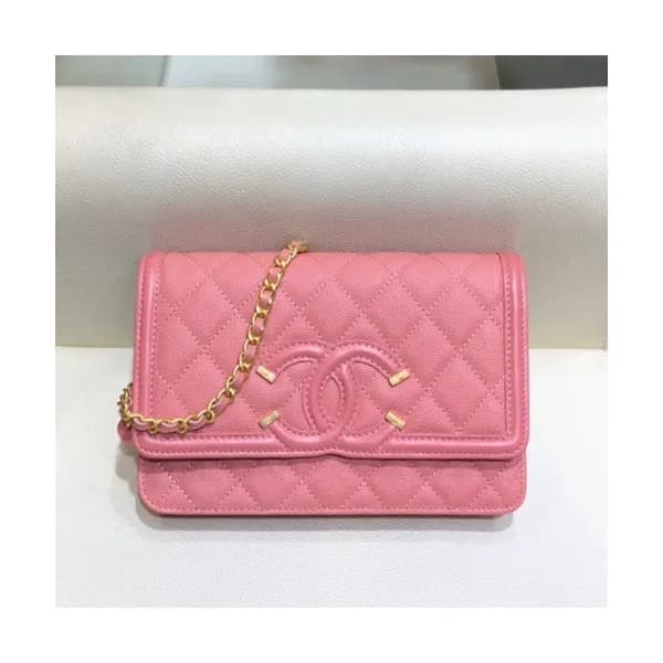 Chanel 2019 WOC Chain Cross Bag,19CM - 샤넬 2019 WOC… - 1