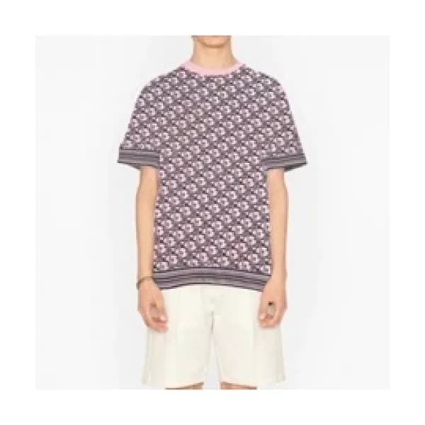 Dior Mm/Wm Casual Crew-neck Short Sleeved Tshirts… - 1