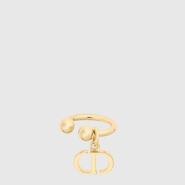 디올 여성 싱글 이어링 - Dior Womens Single Earring - acc9580x - 1