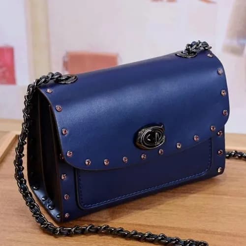 Coach 2018 Leather Chain Shoulder Bag - 코치 2018 레더… - 1