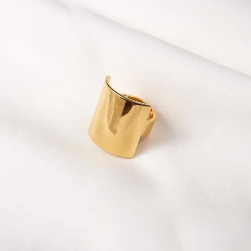 Celine Yellow Gold Ring -셀린느 여성용 옐로우 골드 반지Cel0021… - 1