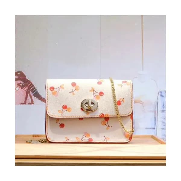 Coach Leather Bowery Chain Shoulder Bag,17cm - 코치 … - 1