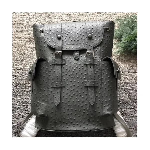Louis Vuitton 2018 Christopher Back Pack,48cm - 루이… - 1