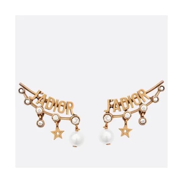 [럭셔리]Dior 2020 Ladies Earring - 디올 2020 여성용 이어링 A… - 1