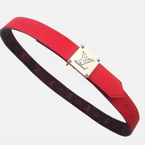 Louis vuitton 2019 Ladies Reversible Canvas & Leat… - 1