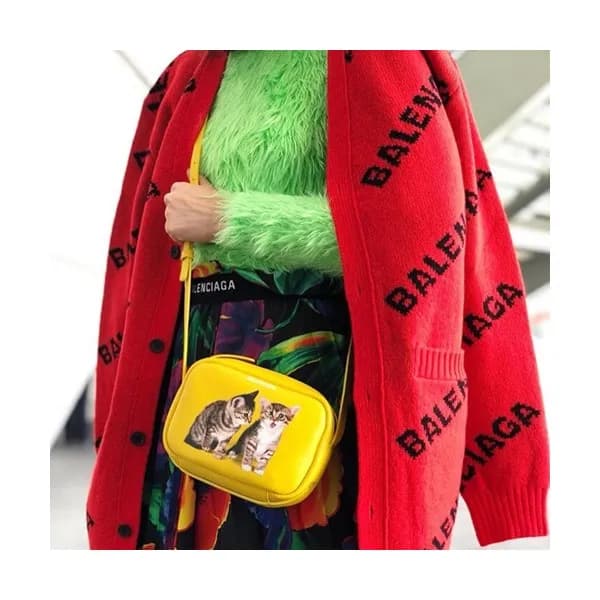 Balenciaga 2019 Leather Kitten Camera Shoulder Ba… - 1