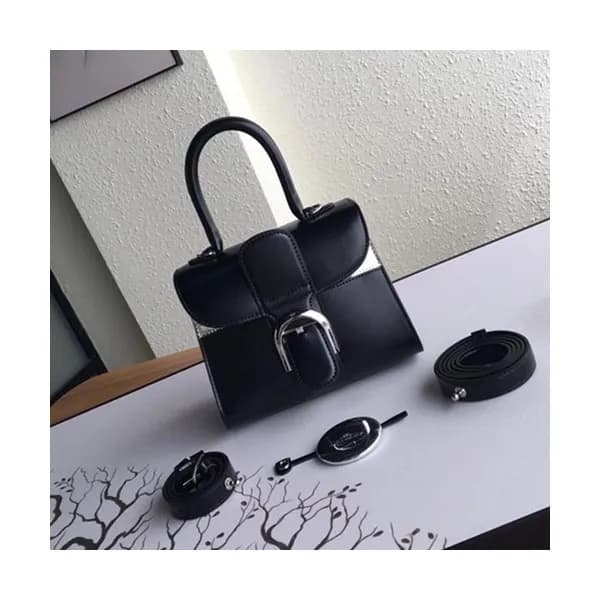 Delvaux 2019 Brillant Frence Box Leather Tote Shou… - 1