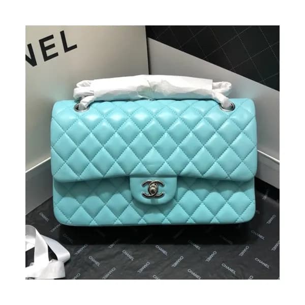 Chanel Women Chain Shoulder Bag,25CM - 샤넬 여성용 체인 숄… - 1