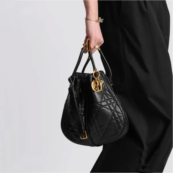 디올 여성 노리타 미디엄 백 M2312 - Dior Womens Nolita Medium … - 1