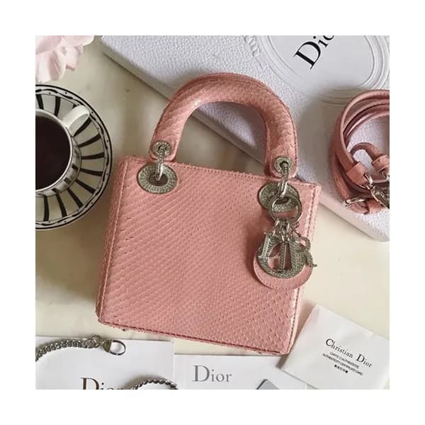 Dior 2019 Lady Dior Mini Tote Shoulder Bag,17CM - … - 1