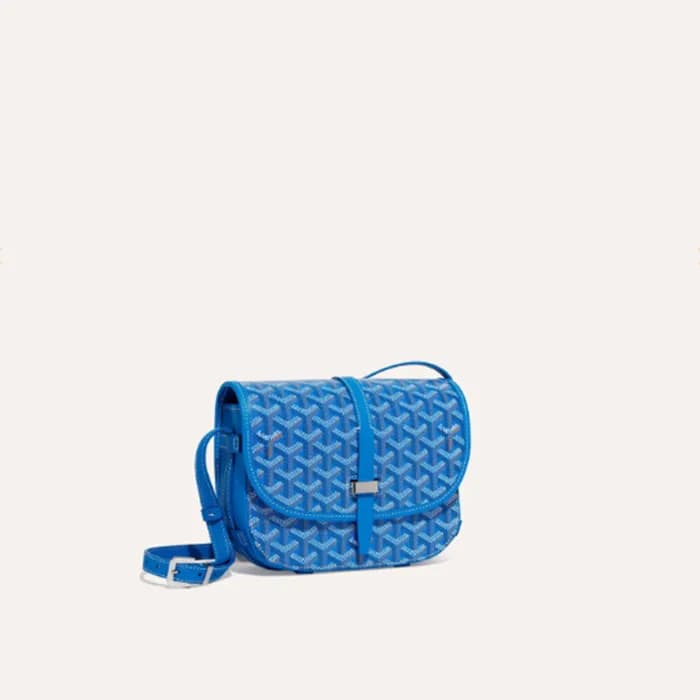 고야드 여성 블루 벨베데르 백 PM - Goyard Womens Belvedere Bag … - 1